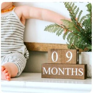 Baby Milestone blocks